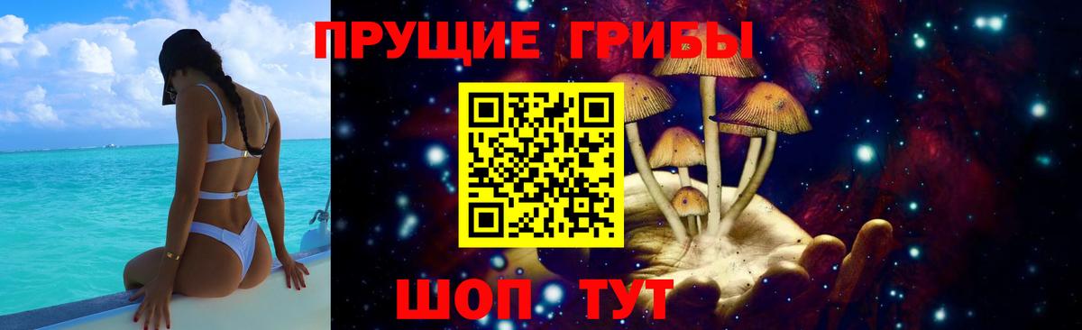 Артём  Псилоцибиновые грибы Cubensis  Вход с VPN 